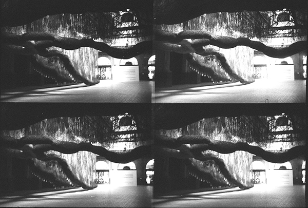 5_Anita_Lomo (5)