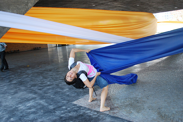 FIG_8_20-11-10_DouAções_Helio Oiticica (1)